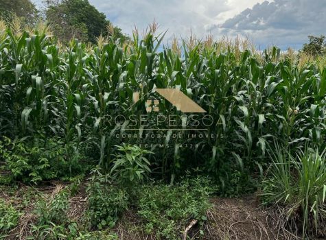 Imagem do WhatsApp de 2024-03-08 à(s) 14.59.36_b47c9384