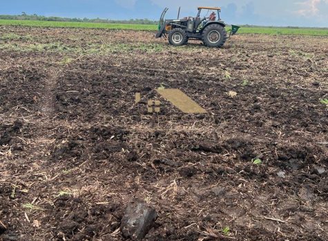 Imagem do WhatsApp de 2024-03-08 à(s) 14.59.36_e4dca1d3