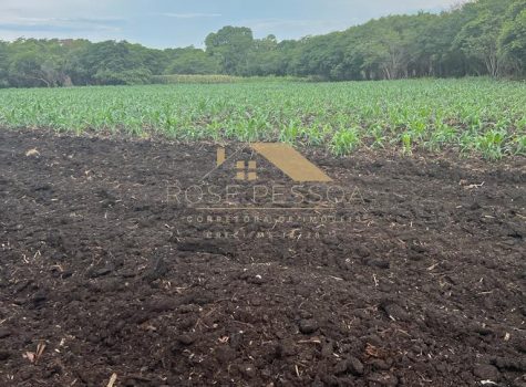 Imagem do WhatsApp de 2024-03-08 à(s) 14.59.37_0d7edd14