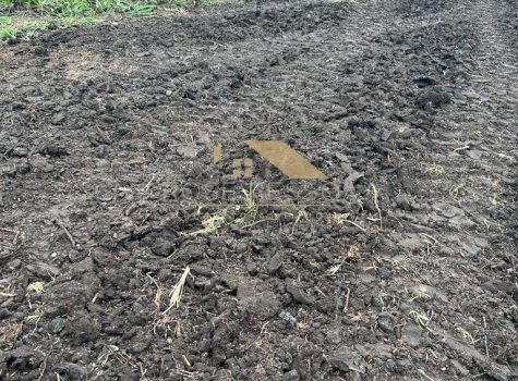 Imagem do WhatsApp de 2024-03-08 à(s) 14.59.37_19d92aee