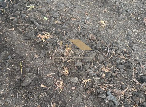 Imagem do WhatsApp de 2024-03-08 à(s) 14.59.37_80cbf98e