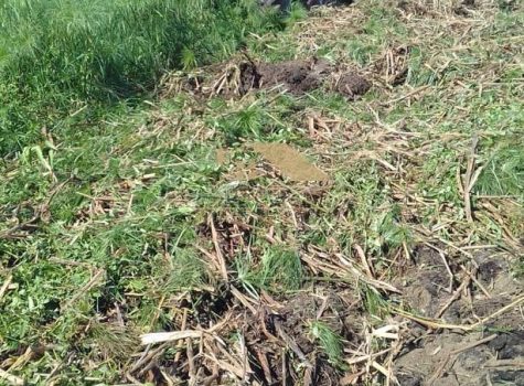 Imagem do WhatsApp de 2024-03-08 à(s) 14.59.38_6c0878f3