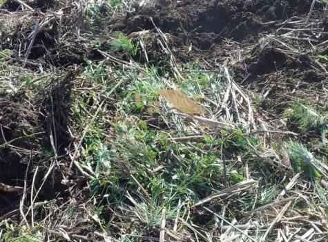 Imagem do WhatsApp de 2024-03-08 à(s) 14.59.38_e58447ef