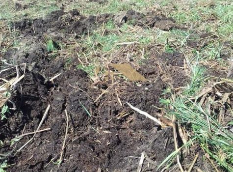 Imagem do WhatsApp de 2024-03-08 à(s) 14.59.38_faf477bc