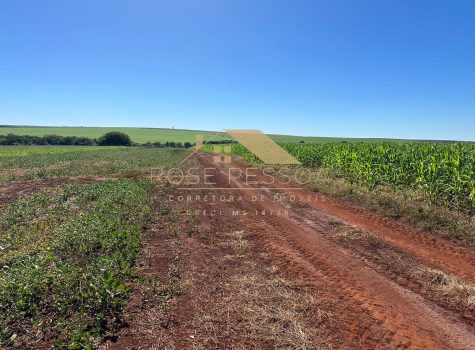 Imagem do WhatsApp de 2024-03-09 à(s) 16.26.21_8a5f4f90