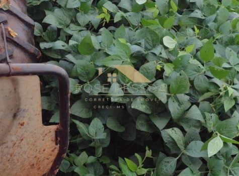 Imagem do WhatsApp de 2024-03-09 à(s) 16.26.22_561110e1