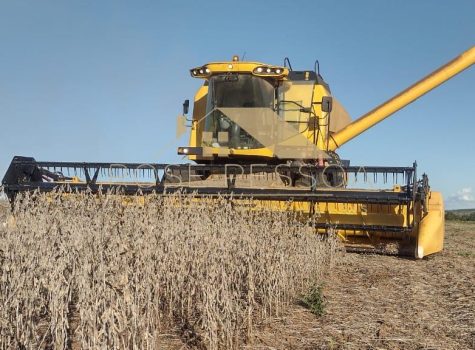 Imagem do WhatsApp de 2024-03-09 à(s) 16.26.22_640799c5