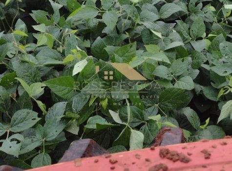 Imagem do WhatsApp de 2024-03-09 à(s) 16.26.22_7bf4fc77