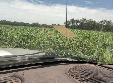 Imagem do WhatsApp de 2024-03-09 à(s) 16.26.22_b132e92a