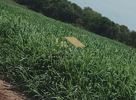 Imagem do WhatsApp de 2024-03-09 à(s) 16.26.23_15bbc647