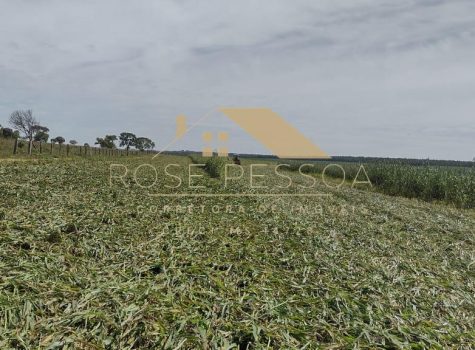 Imagem do WhatsApp de 2024-03-09 à(s) 16.26.23_4281ece6