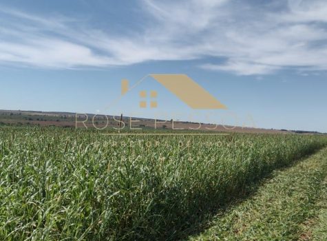 Imagem do WhatsApp de 2024-03-09 à(s) 16.26.23_c8b216f8