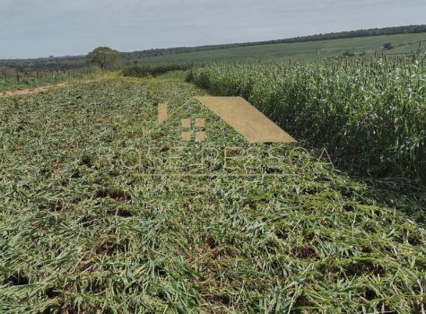 Imagem do WhatsApp de 2024-03-09 à(s) 16.26.24_67d9e3f8