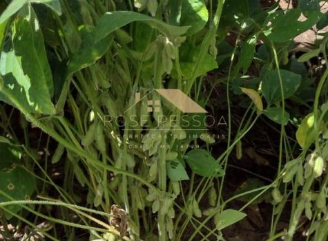 Imagem do WhatsApp de 2024-03-09 à(s) 16.26.24_6e5583ec