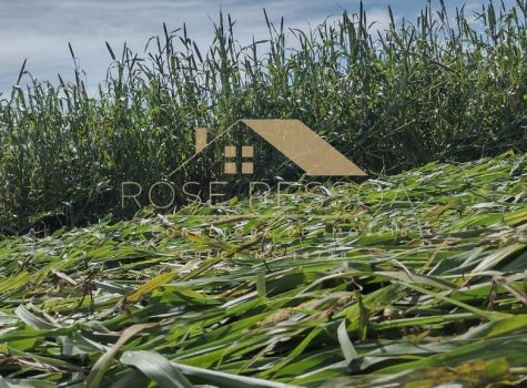 Imagem do WhatsApp de 2024-03-09 à(s) 16.26.24_ce2ed5bb