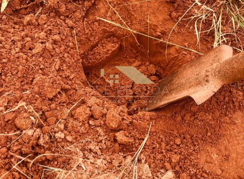 Imagem do WhatsApp de 2024-03-09 à(s) 18.01.11_3d112031