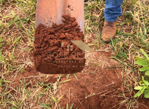 Imagem do WhatsApp de 2024-03-09 à(s) 18.01.11_96835289