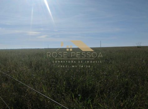 Imagem do WhatsApp de 2024-03-16 à(s) 08.12.35_fd318fae